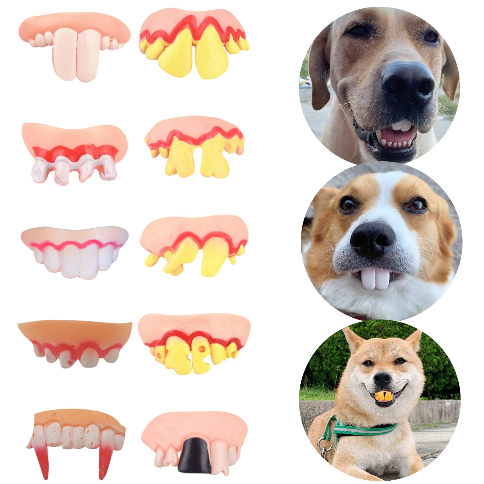 10 Pieces Dog Gnarly Teeth Gag Teeth Ugly Fake Teeth Bob Teeth Vampire