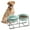 Green×2, variant on Raised Dog Food and Water Bowl with Non Slip Stand - Ceramic Pet Dishes for Medium to Big Dogs - 2 x 1600 ml
