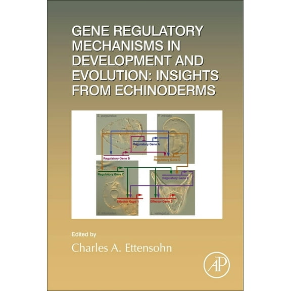 Current Topics in Developmental Biology Gene Regulatory Mechanisms in Development and Evolution: Insights from Echinoderms: Volume 146, Book 146, (Hardcover)