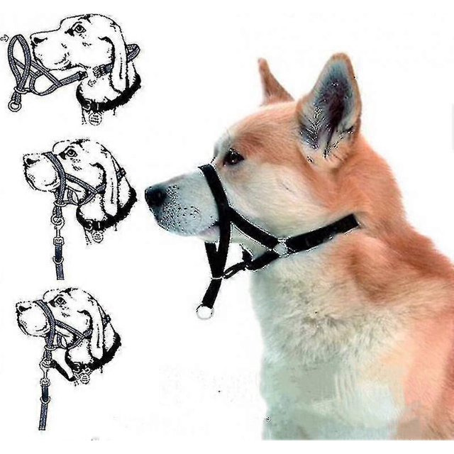 Halti Head Collar Dog Training Obedience Stop Pulling On Lead No Pull Solution