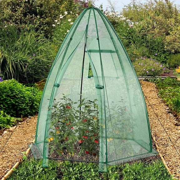 LIFEZEAL Portable Mini Greenhouse 63x63x72 Inch, All-Weather PE Cover with Roll-Up Mesh Door