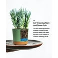 thumbnail image 4 of Cowb Manm 6.5 in Self-Watering Flower Pot 6 PACK Plastic Planter with Drainage Holes Home Deco, 4 of 7