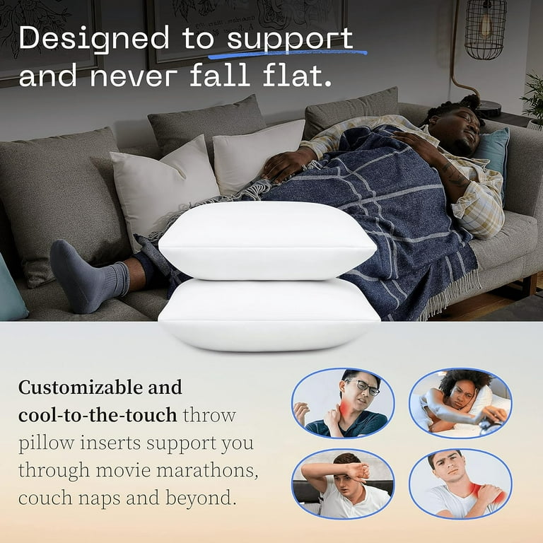 Coop Home Goods 18x18 Indoor Memory Foam Throw Pillow Inserts Com