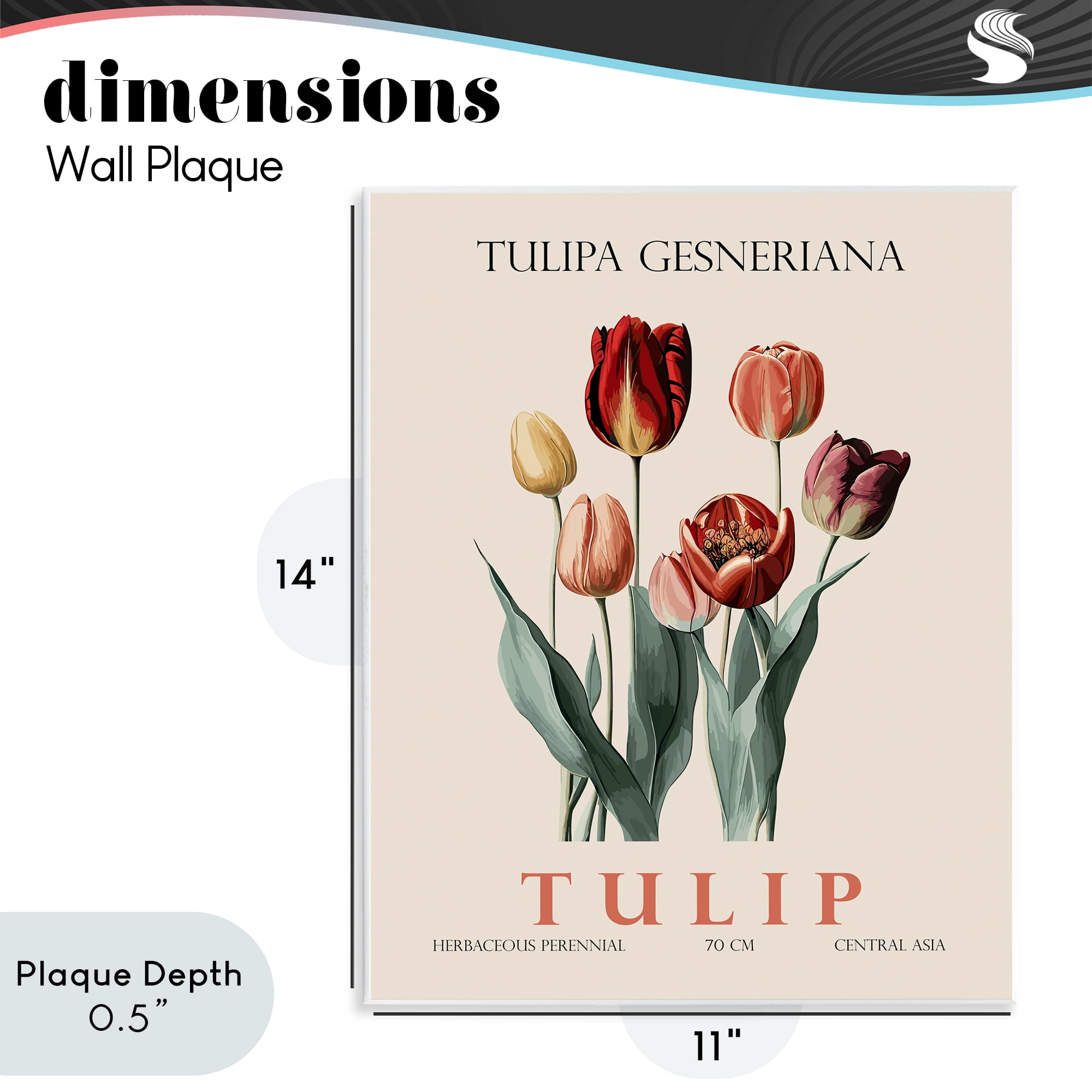 Stupell Industries Natural Tulip Bundle Wall Plaque Art, design by Christopher Giampietro