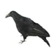 thumbnail image 5 of Cuervos pequeños con plumas negras para Halloween: decoración de cuervos y pájaros negros 33cm, 5 of 9