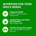thumbnail image 3 of Iams Proactive Health Puppy Wet Dog Food Classic Ground with Chicken & Rice, 3 of 12