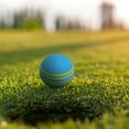 thumbnail image 4 of FONDOTIN Indoor Practice Golf Balls 10Pcs EVA Colorful for Cats and Pet Owners, 4 of 7