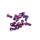 thumbnail image 5 of Eigraketly 12 piezas Rotor de freno de bicicleta Tornillos Tornillos de 10 mm de color metálico Piezas de repuesto de carreras Kit de Violett 2piezas, 5 of 6