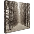 thumbnail image 2 of Trademark Fine Art "Hampton Gates Promenade III" Canvas Art by Alan Blaustein, 2 of 3