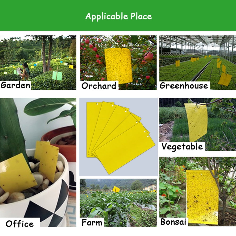 YiaNXan 100 Pack Dual-Sided Sticky Traps for Plant, Sticky Board Catching for Flying Plant Insect Indoor Outdoor, 5.9x7.87inch