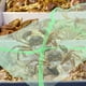 thumbnail image 4 of unbranded 10Ud Red De Captura Para De Cangrejos Con Material Resistente Y, 4 of 6