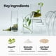 thumbnail image 5 of Mascarilla facial coeternal Seaweed Detox de arcilla con algas 200 ml, 5 of 8