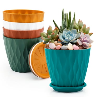 FOUKUS 6 inch Plastic Plant Pots: 5 Pack Indoor Planters with Drainage and Tray Outdoor Flower Pots, Multicolor