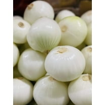 250 * Seeds ECLIPSE ONION White Sweet Allium Cepa Vegetable Seeds