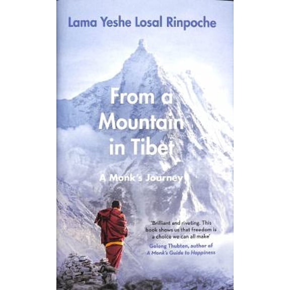Pre-Owned From a Mountain in Tibet : A Monk's Journey (Hardcover) 9780241439272