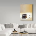 thumbnail image 3 of Trademark Fine Art 'Sunset In The Pier' Canvas Art by Carlos Casamayor, 3 of 3