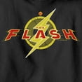 thumbnail image 2 of Boy's The Flash Animated Logo Pull Over Hoodie Black Medium, 2 of 4