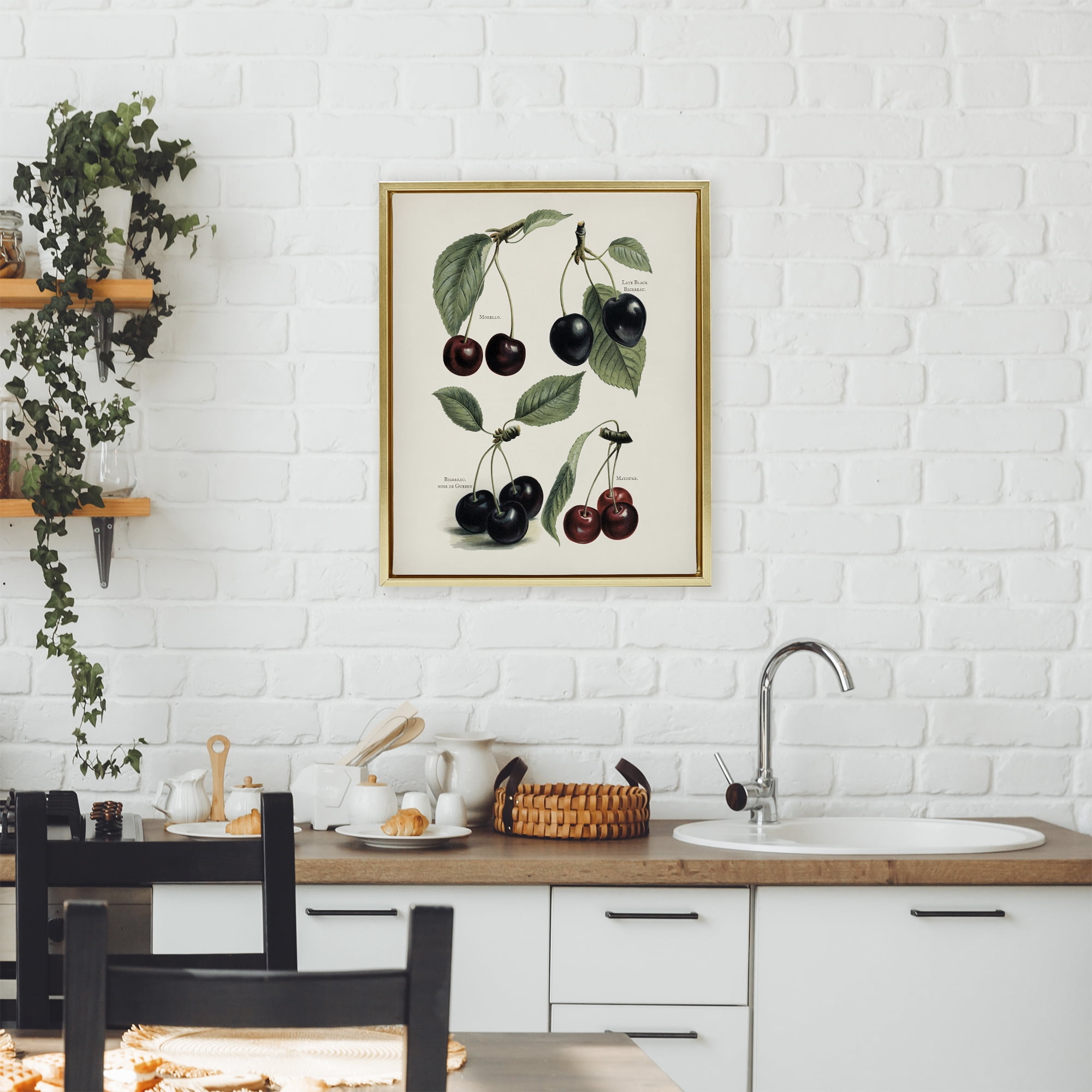 Natural Detailed Cherry Studies Gold Framed Floater Canvas Wall Art, design by Lettered and Lined