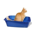 thumbnail image 3 of Arenero Gigante Van Ness P/Gato Gigante, 3 of 8