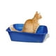 thumbnail image 3 of Arenero Gigante Van Ness P/Gato Gigante, 3 of 8