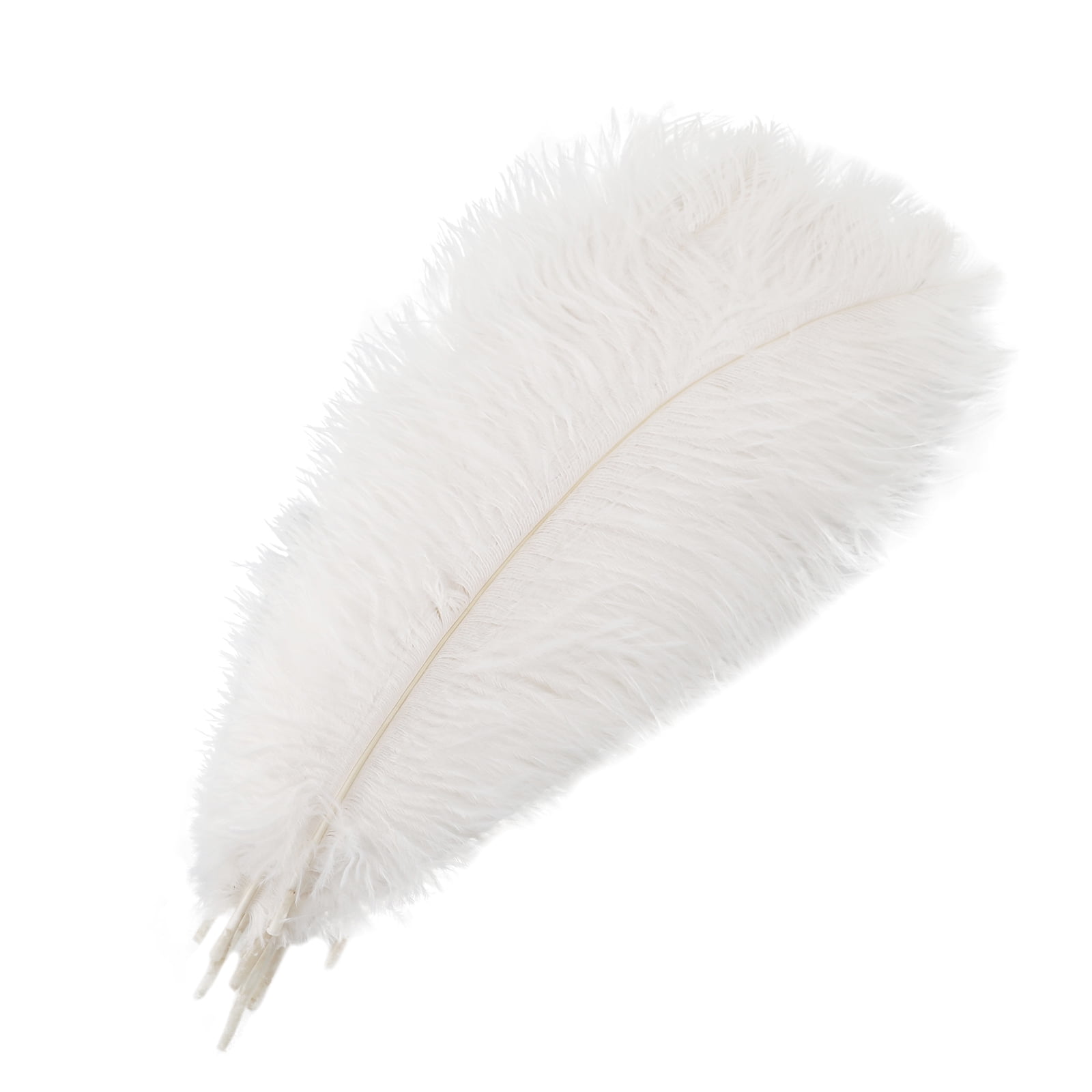 EUBUY 10Pcs Colorful Natural Ostrich Feathers Party Carnaval