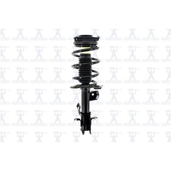 Suspension Strut and Coil Spring Assembly