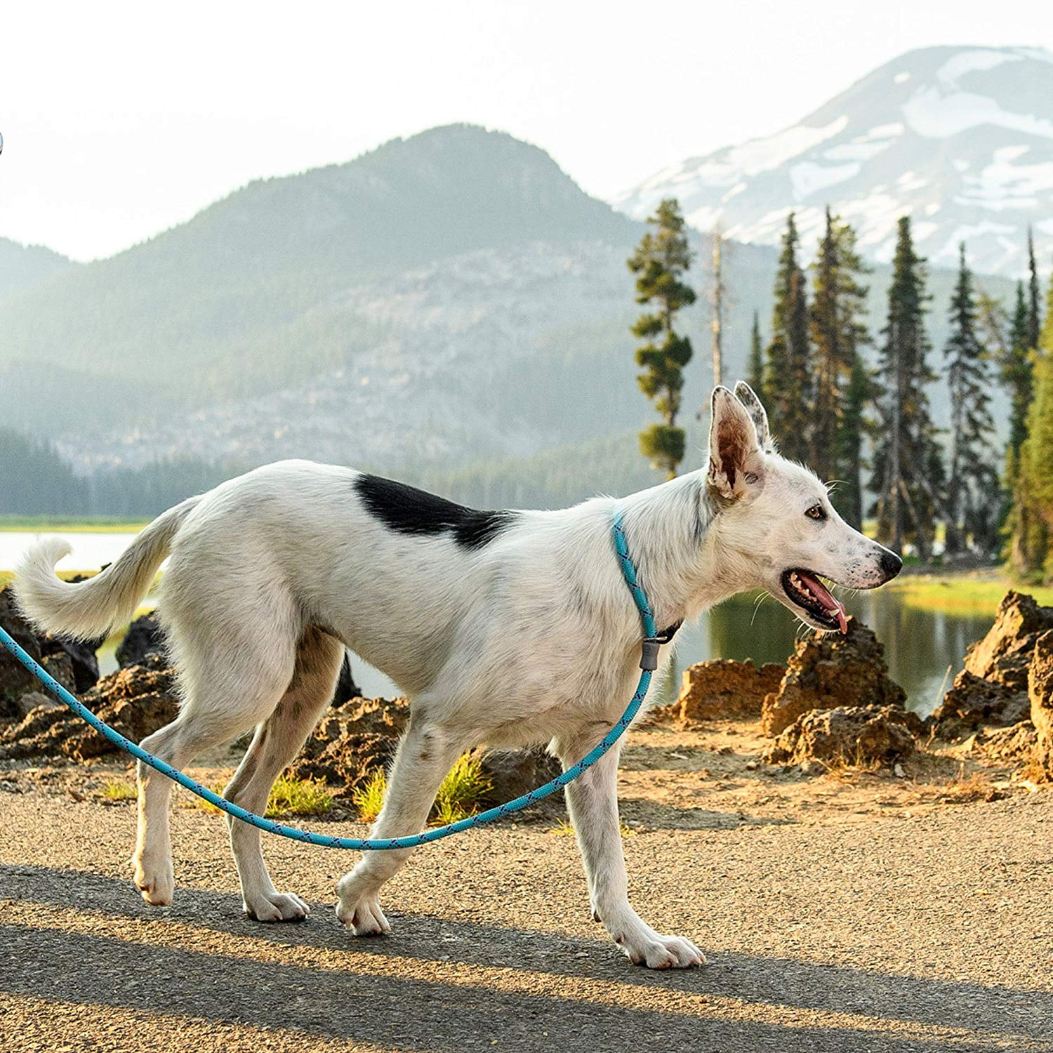 ruffwear just a cinch