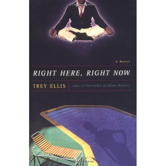 Pre-Owned Right Here, Right Now: A Novel (Hardcover) 068484592X 9780684845920