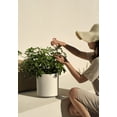 thumbnail image 6 of Veradek Demi Series  12" Plastic-Stone Planter - Sand, 6 of 10
