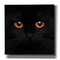 Epic Graffiti 'Hunter' by Epic Portfolio Giclee Canvas Wall Art, 18"x18"