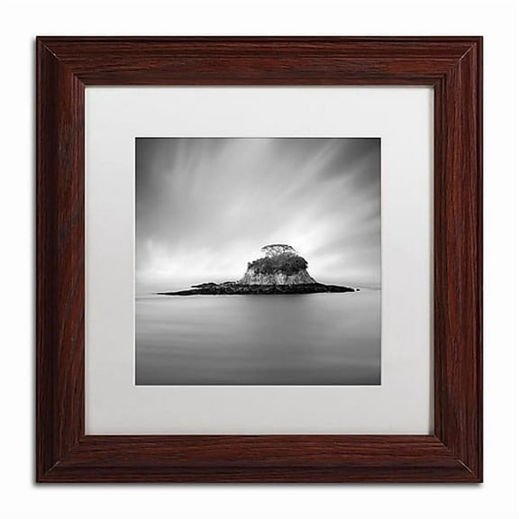 Trademark Fine Art "Rat Island" Canvas Art by Moises Levy White Matte, Wood Frame