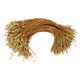 thumbnail image 1 of 1 bolso Navidad Snap Blocking Taags Price Etiquets Sujetadores Precut Corrientes colgantes, 1 of 6