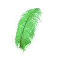thumbnail image 1 of ZUCKER™ Ostrich Prime Femina Feathers - 6pc - 17 - 25" - Kelly, 1 of 1