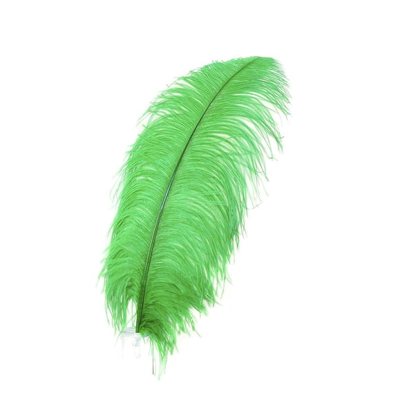 ZUCKER™ Ostrich Prime Femina Feathers - 6pc - 17 - 25" - Kelly