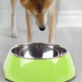 thumbnail image 4 of Cuenco para mascotas Laklulu de color sólido Cuenco para perros de acero inoxidable Cuenco individual Suministros para perros y gatos, 4 of 5