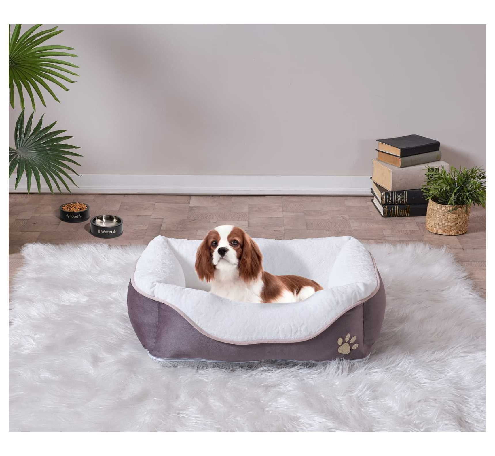 Cozy Foam Pet Bed, Anthracite Large 23x29 - Orthopedic Dog Bed for Small to Medium Pets - Washable Plush Cover - Non-Slip Bottom Anthracite + Contemporary + Cat + Large (41 - 70 lbs) + Foam