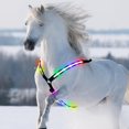thumbnail image 3 of LED Horse Collar Chest Breastplate Harness Neon Sign Light For Horseback Riding, 3 of 8