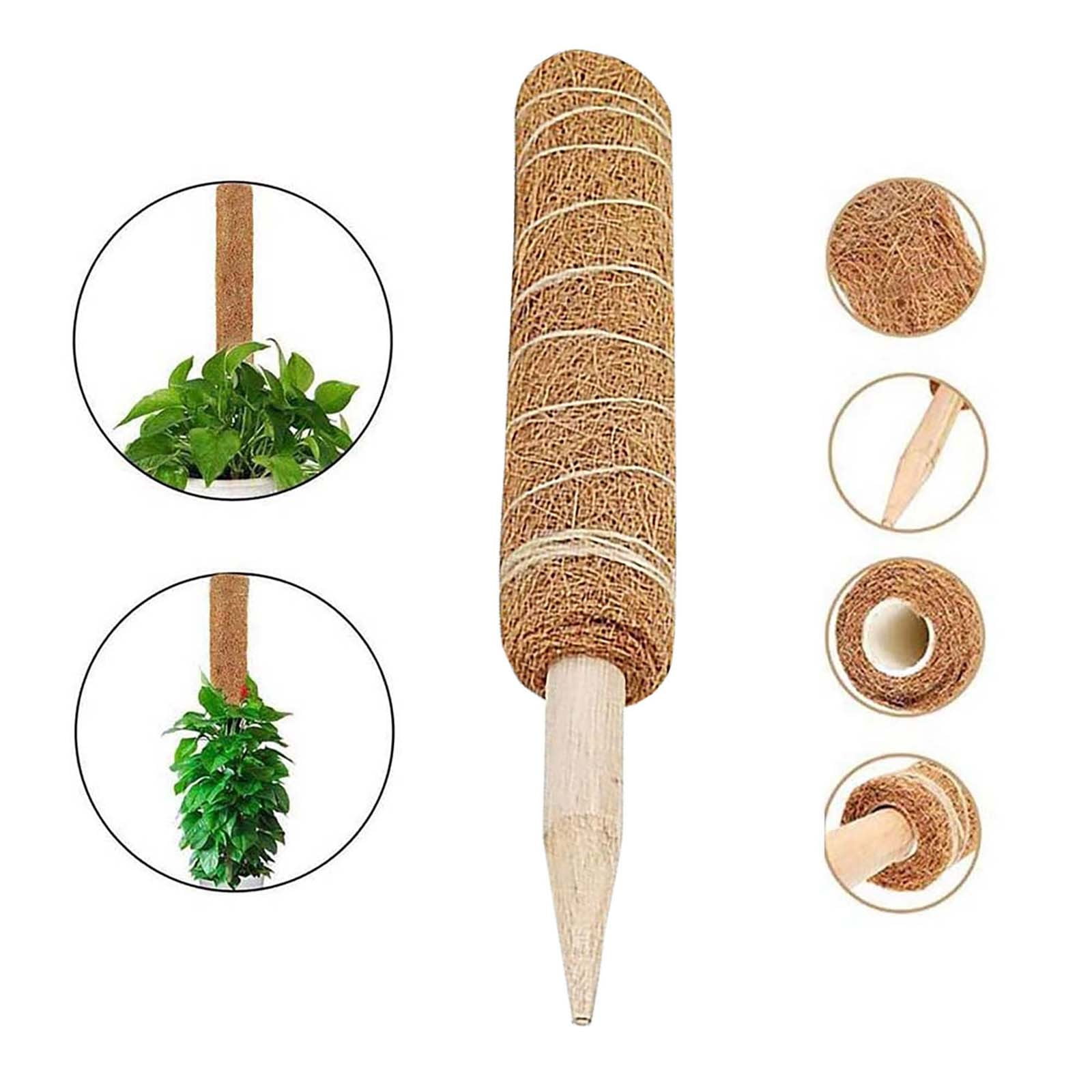 20 Inch Moss Pole, Stackable Moss Poles for Climbing Plants Monstera, Tall Plant Sticks Accessories, Large Coir Plant Support Stakes for Potted Plants Indoor, Pothos, Philodendron, 1-Pack