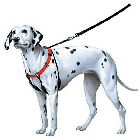 Sporn Training Halter - Sporn Pet No Pull Halter - Blue Xlarge(Size: 23 - 33 Inches)
