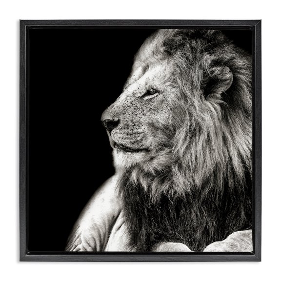 Stupell Industries Contemporary Lion Portrait on Black Black Floating Frame Canvas Art, 18 x 18, by Shelley Lake