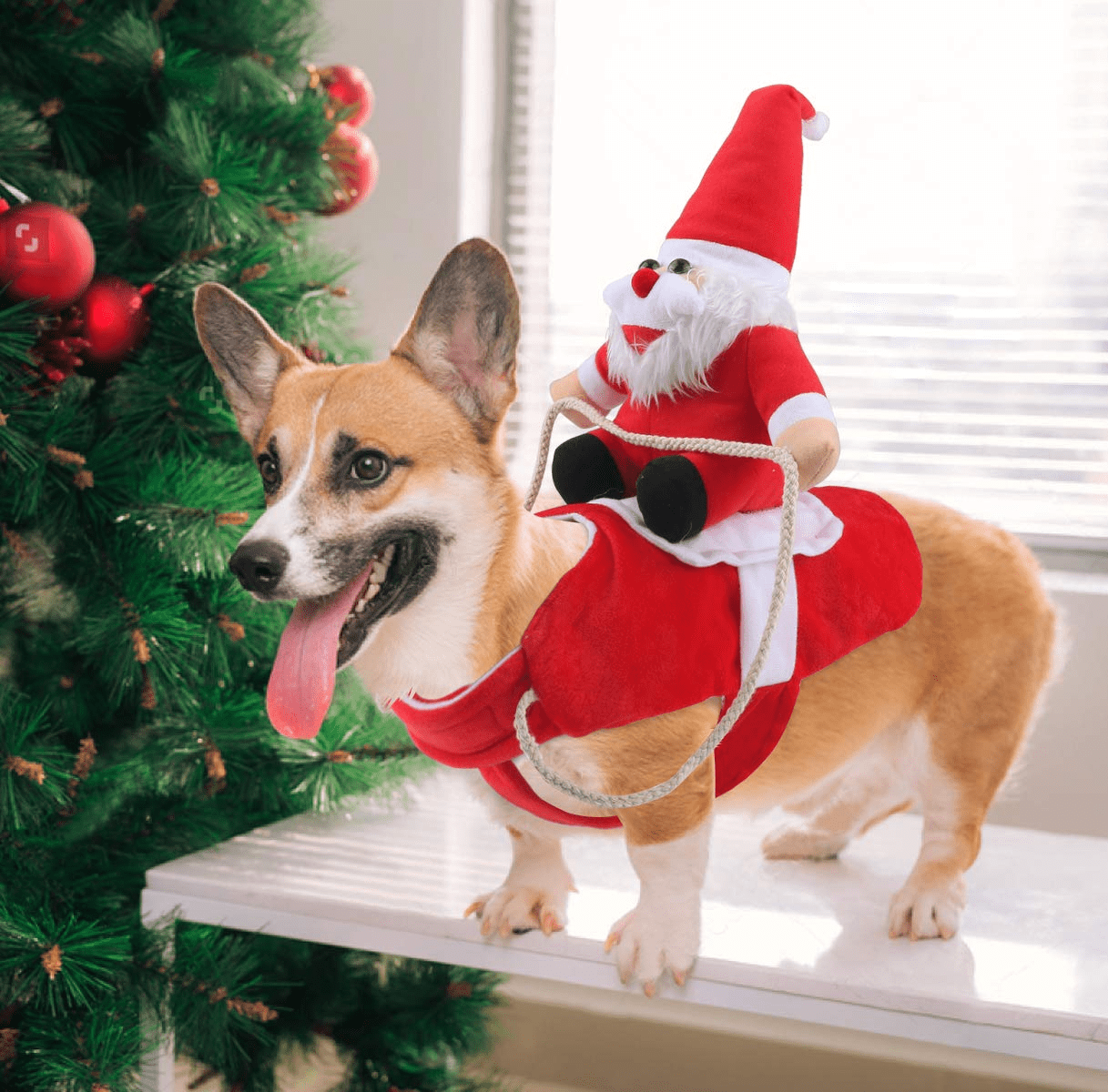 Halloween/Christmas Funny Pet Dog/Cat Santa Claus Carry Christmas Present  Costume Pet Dog Party Jumpsuit Clothes