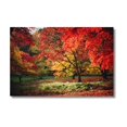 thumbnail image 2 of Cuadro Decorativo Paisaje Bosque Otoñal 143cm X 89cm Marco Madera, 2 of 6