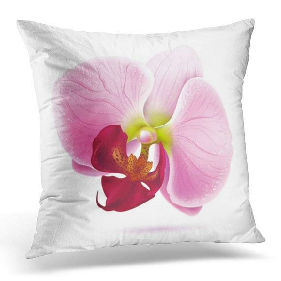 EREHome Pink Spa Orchid Flower White Orchidea Pillow Case Pillow Cover 20x20 inch