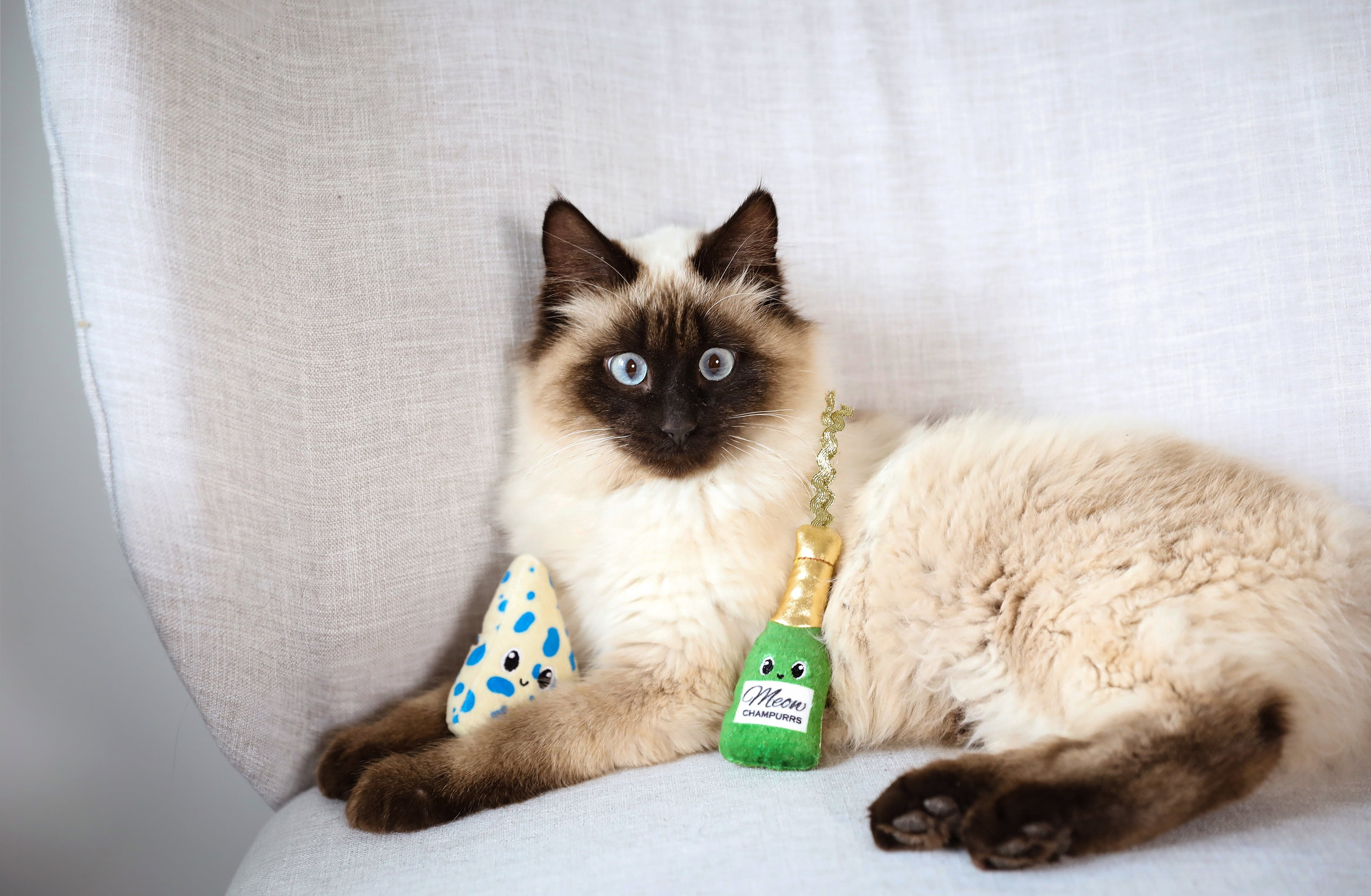 Quirky Kitty Wine & Cheese Plush Catnip 2 pack Cat Toy