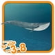 Schleich - 14806 Faune: Baleine Bleue – image 2 sur 6