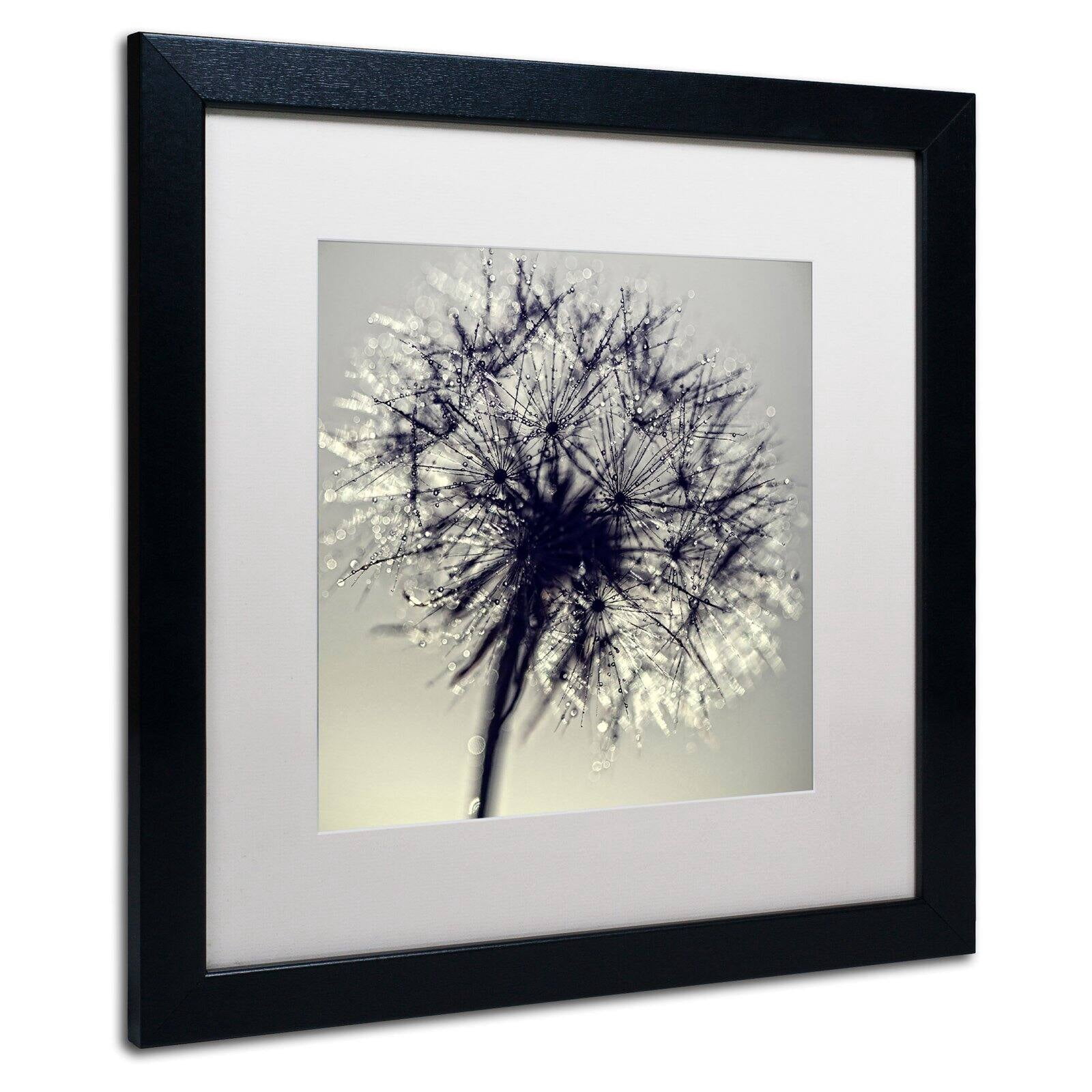 Trademark Fine Art "Morning Sparkles" Canvas Art by Beata Czyzowska Young, Black Matte, Black Frame