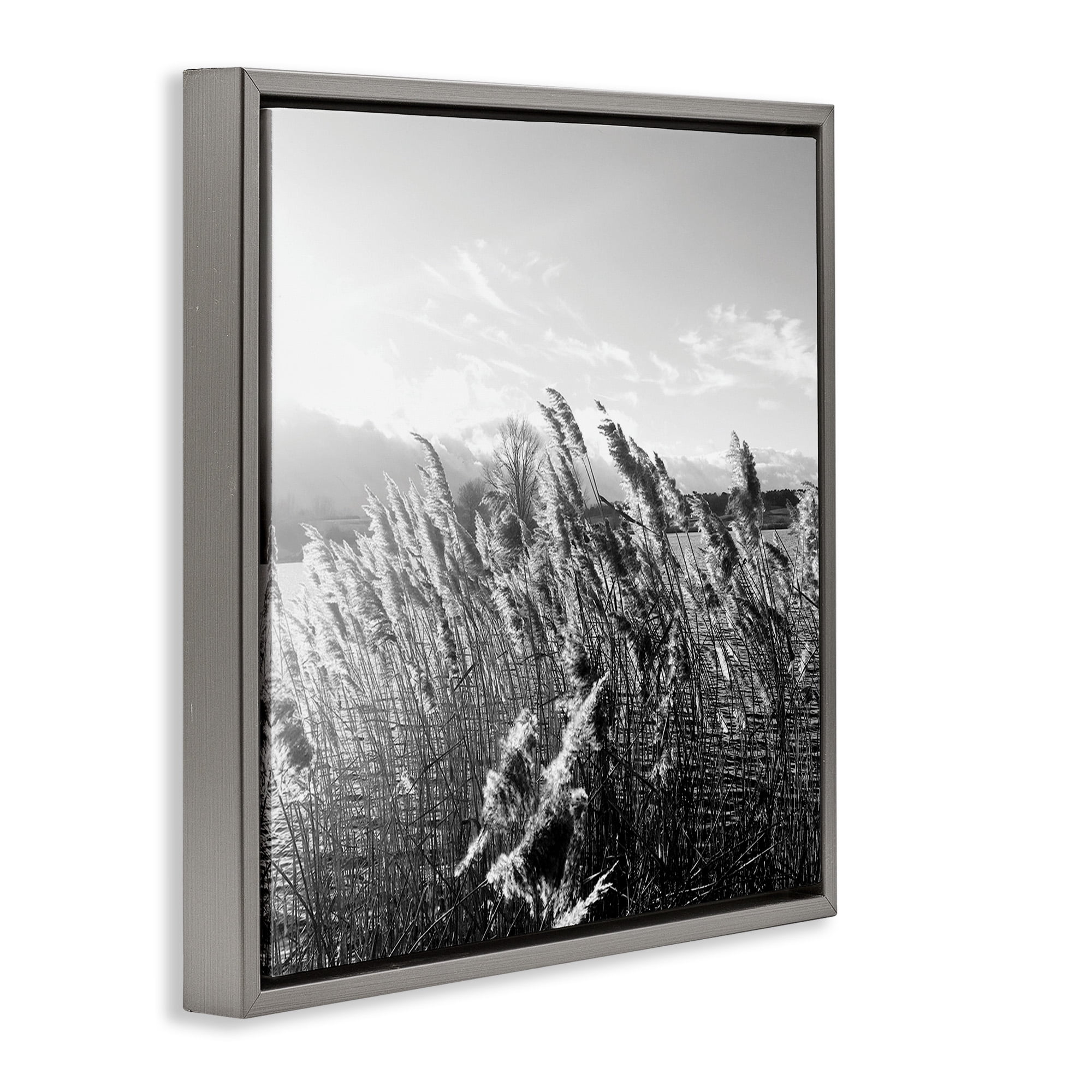 Stupell Industries Tall Grass Lake Water Landscape Landscape Photography Gray Floater Framed Canvas Art Print Wall Art, 18 x 18