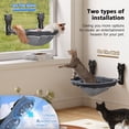 thumbnail image 3 of Cama Plegable y Estable sin Cable para Gatos JUNSPOW para Ventana, 3 of 6