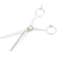 thumbnail image 1 of Spptty Professional Hair Cutting Thining Scissors Set Salon Barber Hairdressing Shear, 1 of 8