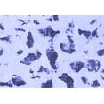 thumbnail image 1 of Ahgly Company Indoor Rectangle Abstract Blue Modern Area Rugs, 6' x 9', 1 of 4